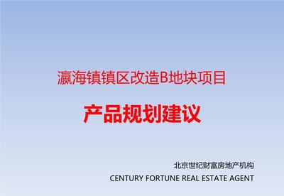 北京瀛海鎮鎮區改造B地塊項目產品規劃建議.ppt