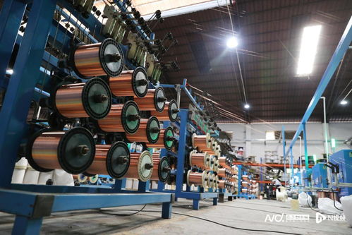 背靠東莞制造，虎門生物化工產品技術研發如何跑向全國